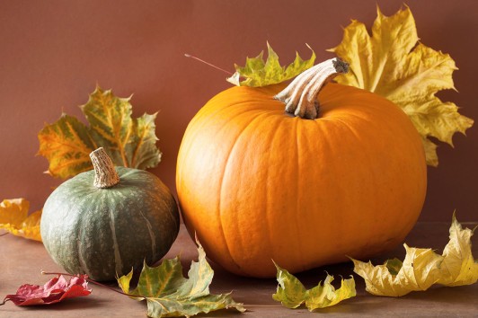 Trick or treat?